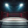 O2 Arena Sky Box ReleaseSky Boxing